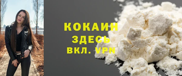ПСИЛОЦИБИНОВЫЕ ГРИБЫ Карталы