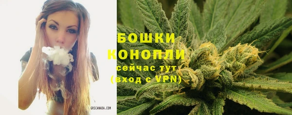 дурь Касимов