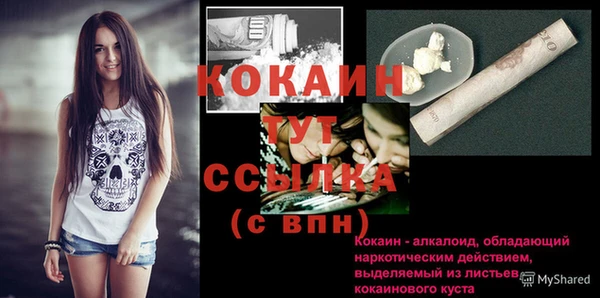 ПСИЛОЦИБИНОВЫЕ ГРИБЫ Карталы