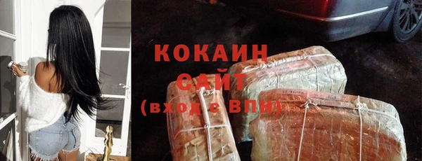 ПСИЛОЦИБИНОВЫЕ ГРИБЫ Карталы