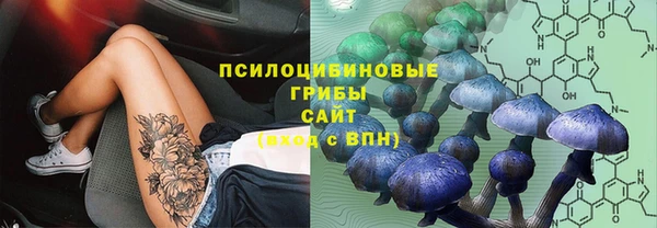 дурь Касимов
